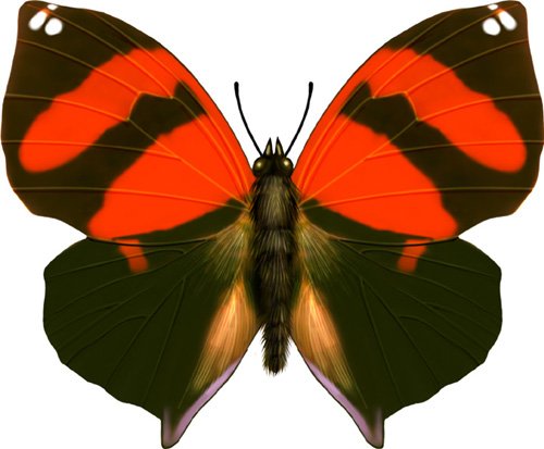 021
