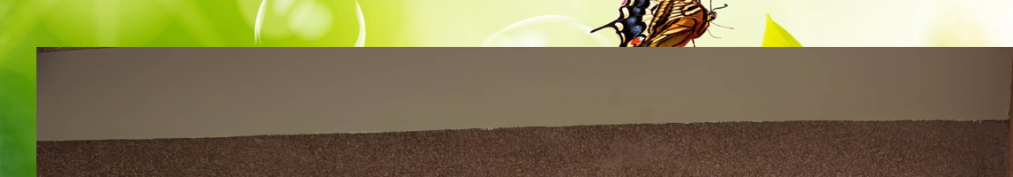 Web Title:李文鳳