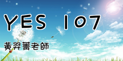 YES 107 